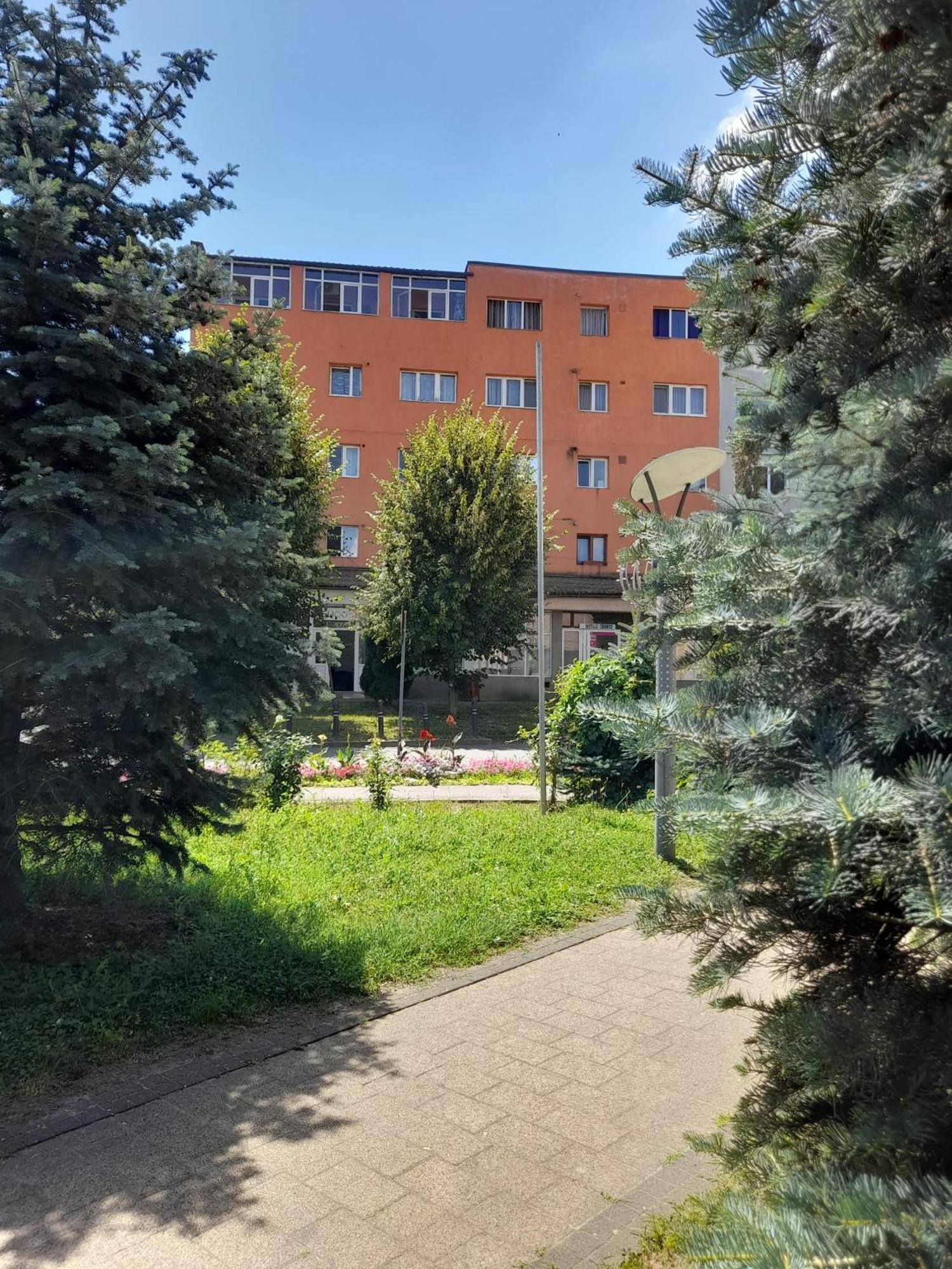 Апартаменты Apartament La Ilie Окна-Сибьюлуй Экстерьер фото